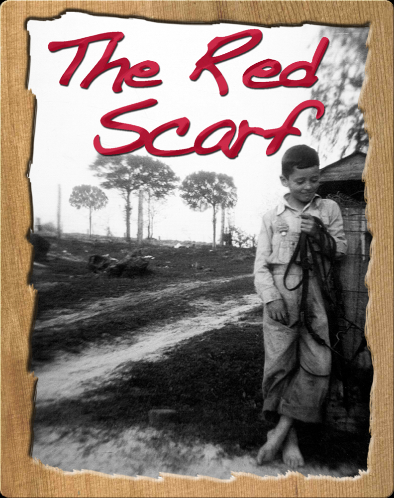 the red scarf book