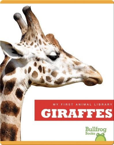 My First Animal Library: Giraffes