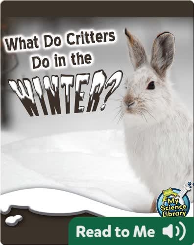 What Do Critters Do In The Winter?