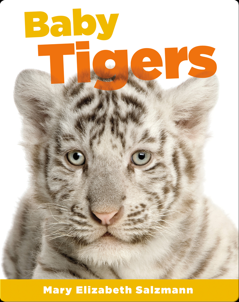 Baby Tigers - Bellwether Media, Inc.