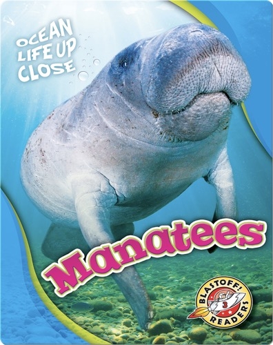 Ocean Life Up Close: Manatees