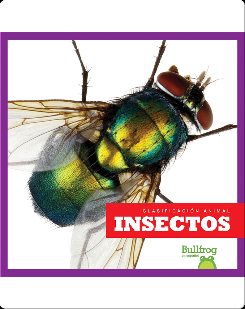 Clasificación Animal: Insectos Book by Erica Donner | Epic