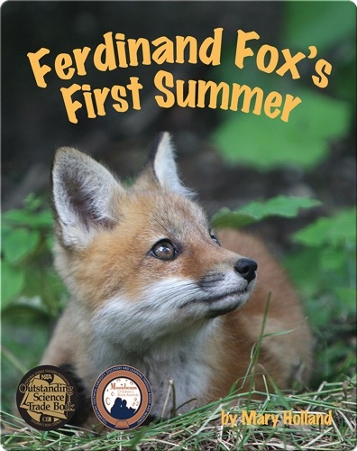 Ferdinand Fox's First Summer