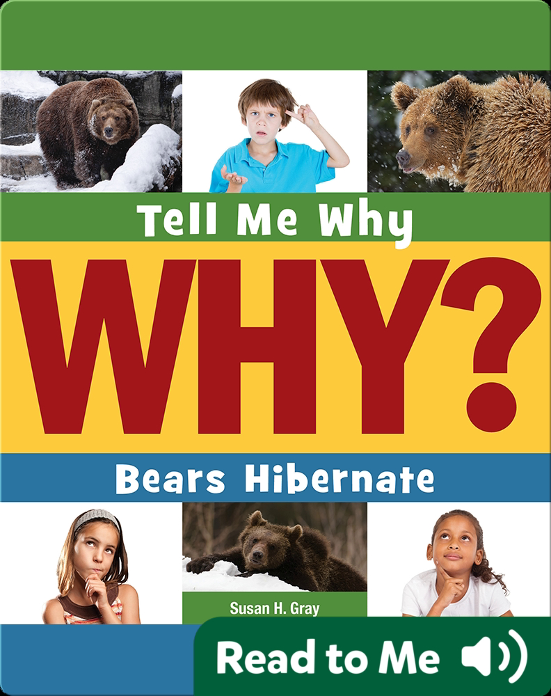 Bears Hibernate Book by Susan H. Gray Epic