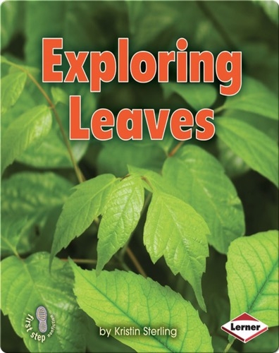 Exploring Leaves