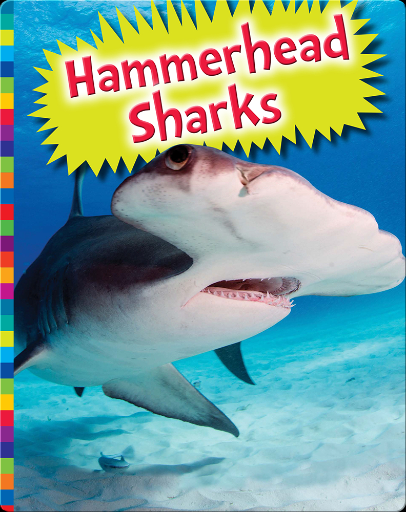 Hammerhead Sharks Book by Allan Morey Epic