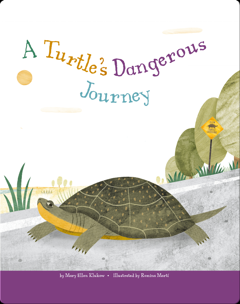 a turtle's dangerous journey