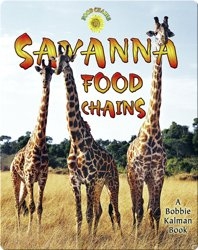 Savanna Food Chains