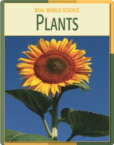Real World Science: Plants