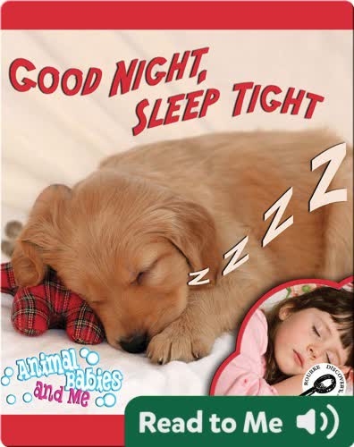 Good Night, Sleep Tight