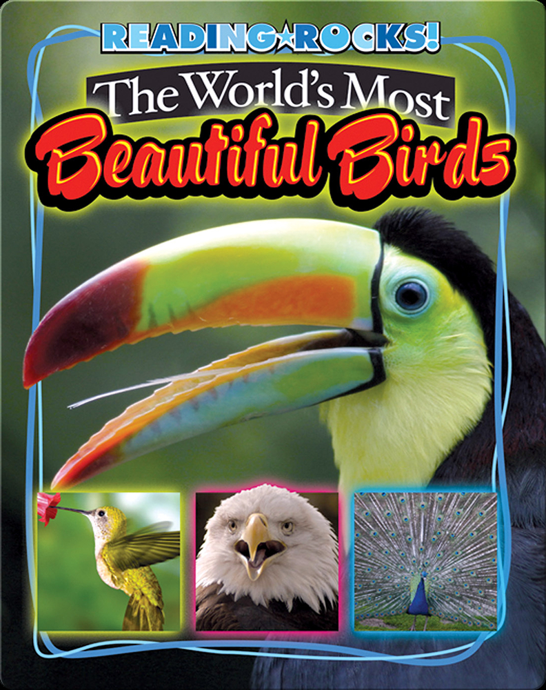 Extreme Birds: The World's Most Extraordinary and Bizarre Birds [Book]
