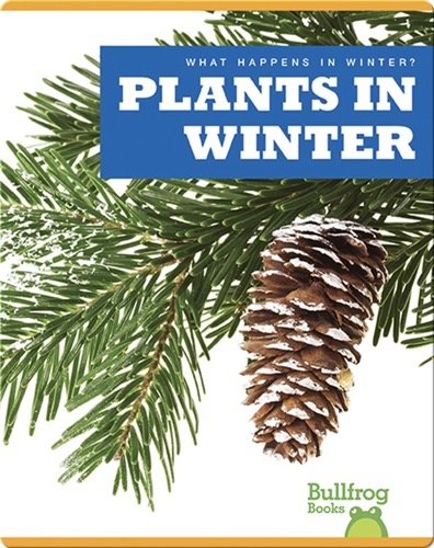 What Happens In Winter? Plants In Winter