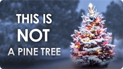 This Is Not a Pine Tree