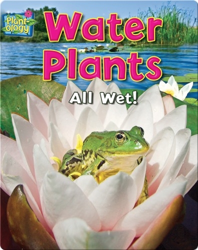 Water Plants: All Wet!