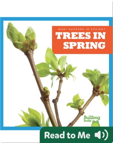 What Happens In Spring? Trees In Spring