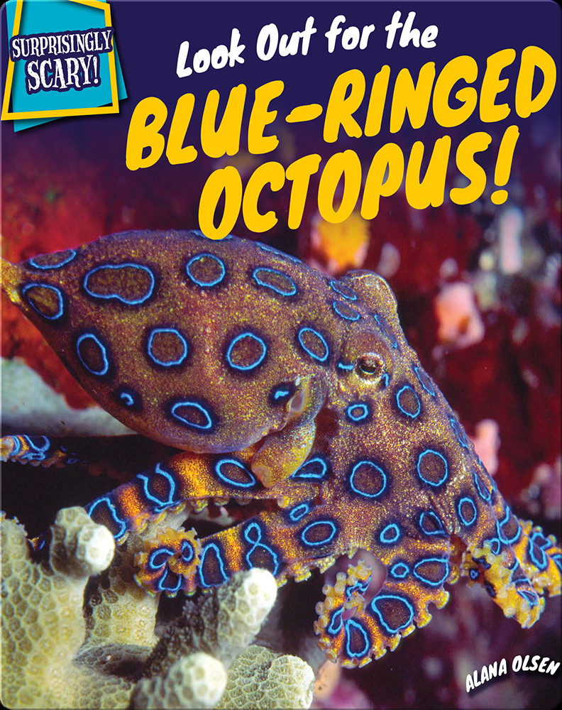 greater blue ringed octopus anatomy