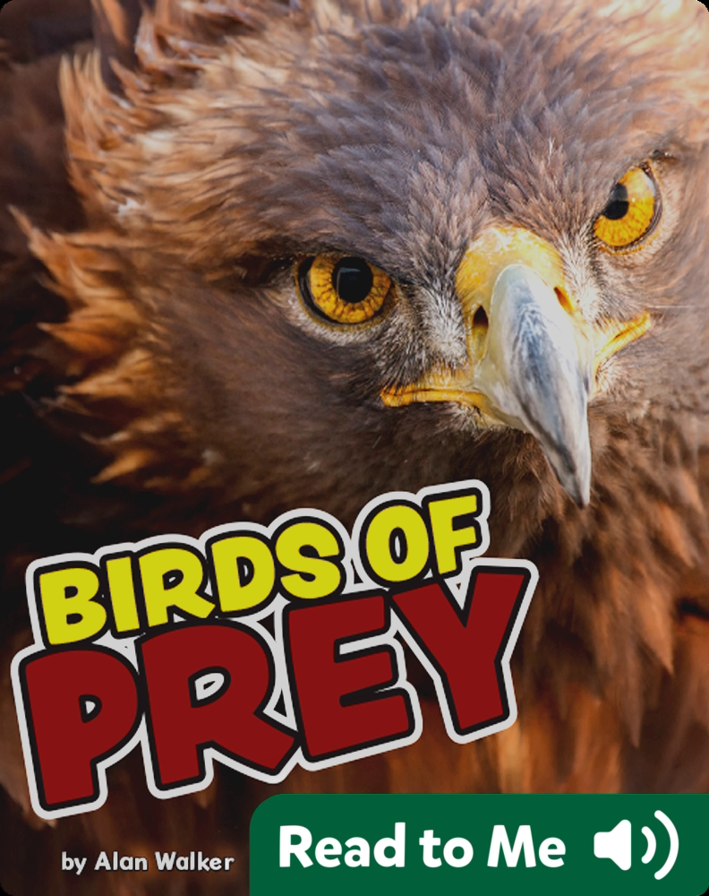 Birds Of Prey Book by Alan Walker