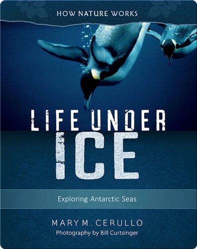 Life Under Ice: Exploring Antarctic Seas