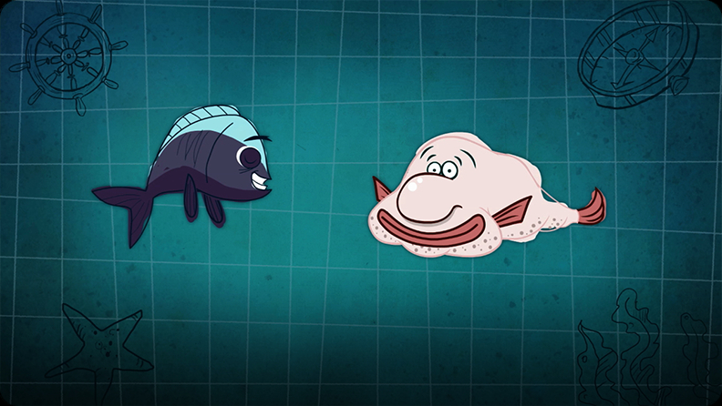 blobfish.  Blobfish, Blob fish in water, Real sea monsters