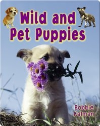 Wild and Pet Puppies