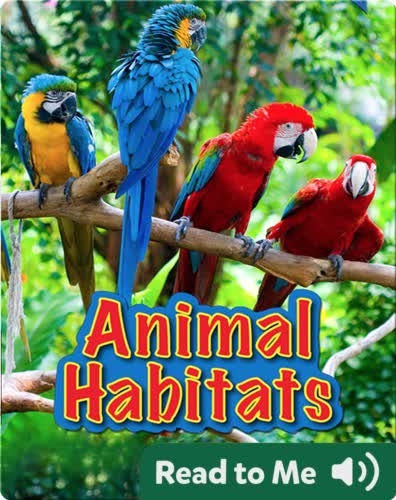 Animal Habitats