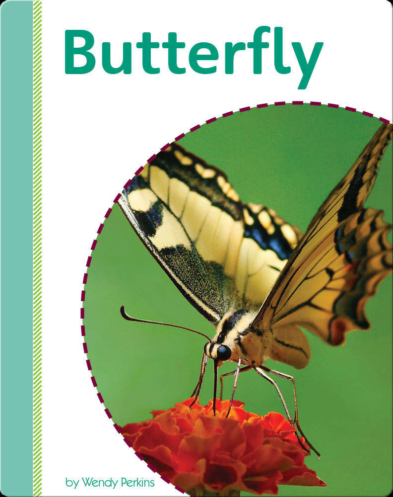 Butterfly Book by Wendy Perkins Epic