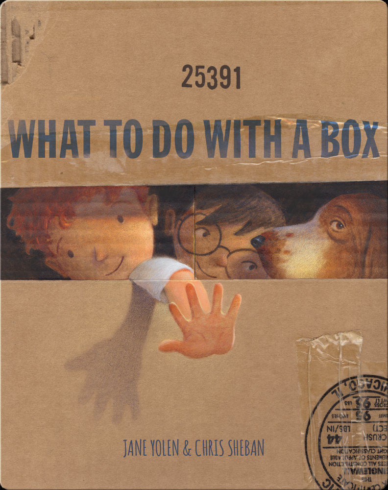 What To Do With a Box Book by Jane Yolen Epic