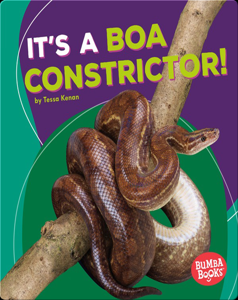 Boa Constrictor  National Geographic