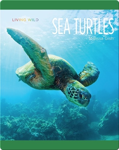 Go Wild! Sea Turtles: National Geographic Kids (Hardcover) - Books By The  Bushel