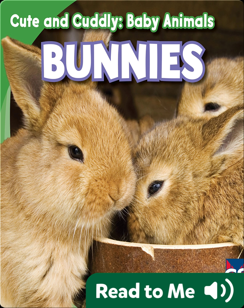 Cute and Cuddly: Bunnies Book by Grace Elora