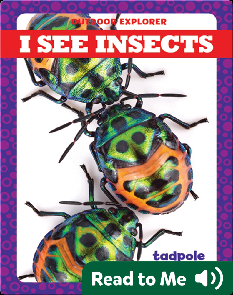 I See Insects Book by Tim Mayerling | Epic