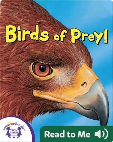 Birds Of Prey!