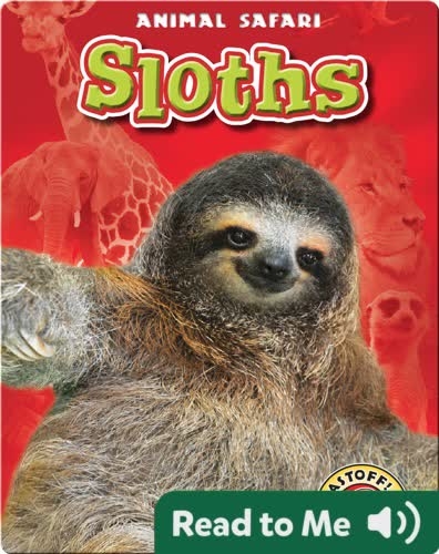 Sloths: Animal Safari