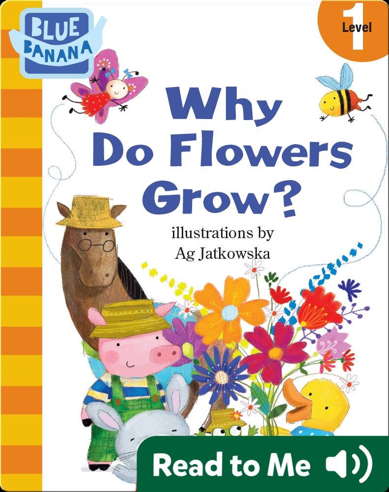 Why Do Flowers Grow? Book by Harriet Ziefert Epic