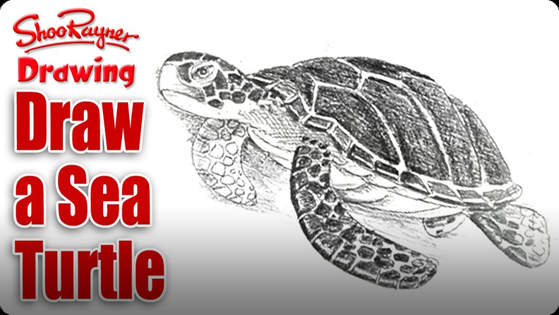 Easy & Fun Sea Turtle Tutorial for Kids! 