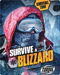 Survive A Blizzard