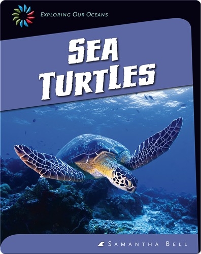 A Book About Sea Turtles (First Grade Book) - Wilbooks