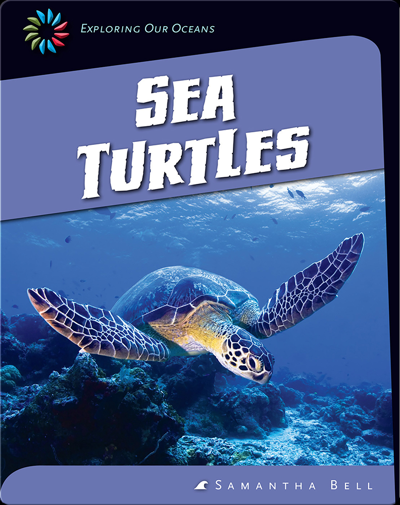 Book Title: Sea Turtles (Ocean Life Up Close) – VOX Books