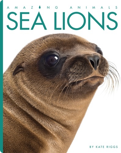 Sea Lions