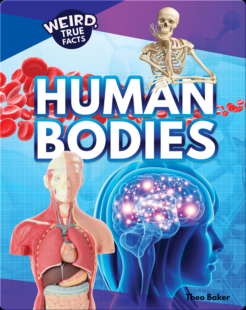 Human Bodies Book by Theo Baker | Epic