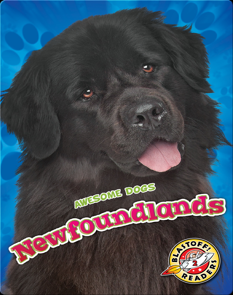 Newfoundlands Book by Nathan Sommer Epic