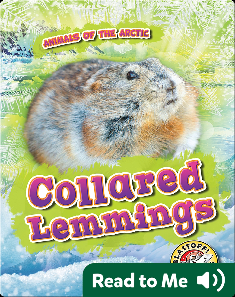 True Wild Life: Lemming