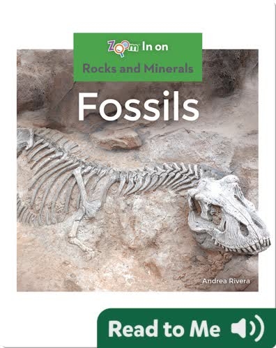 Fossils Children #39 s Book Collection Discover Epic Children #39 s Books