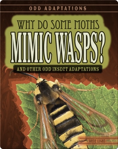 Why Do Some Moths Mimic Wasps? And Other Odd Insect Adaptations