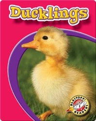 Ducklings: Watch Animals Grow