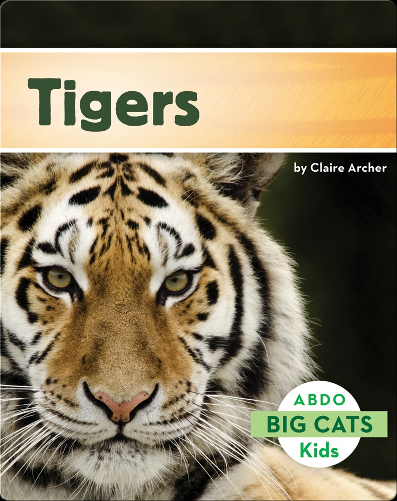 Big Cats: Tigers Book by Claire Archer | Epic