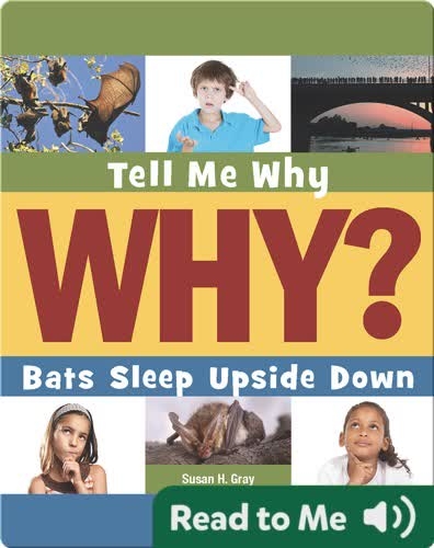 Bats Sleep Upside Down