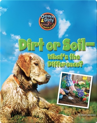 Dirt or Soil - What's the Difference?