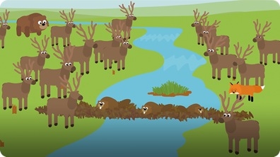 Why Should Humans Care About Biodiversity Loss?