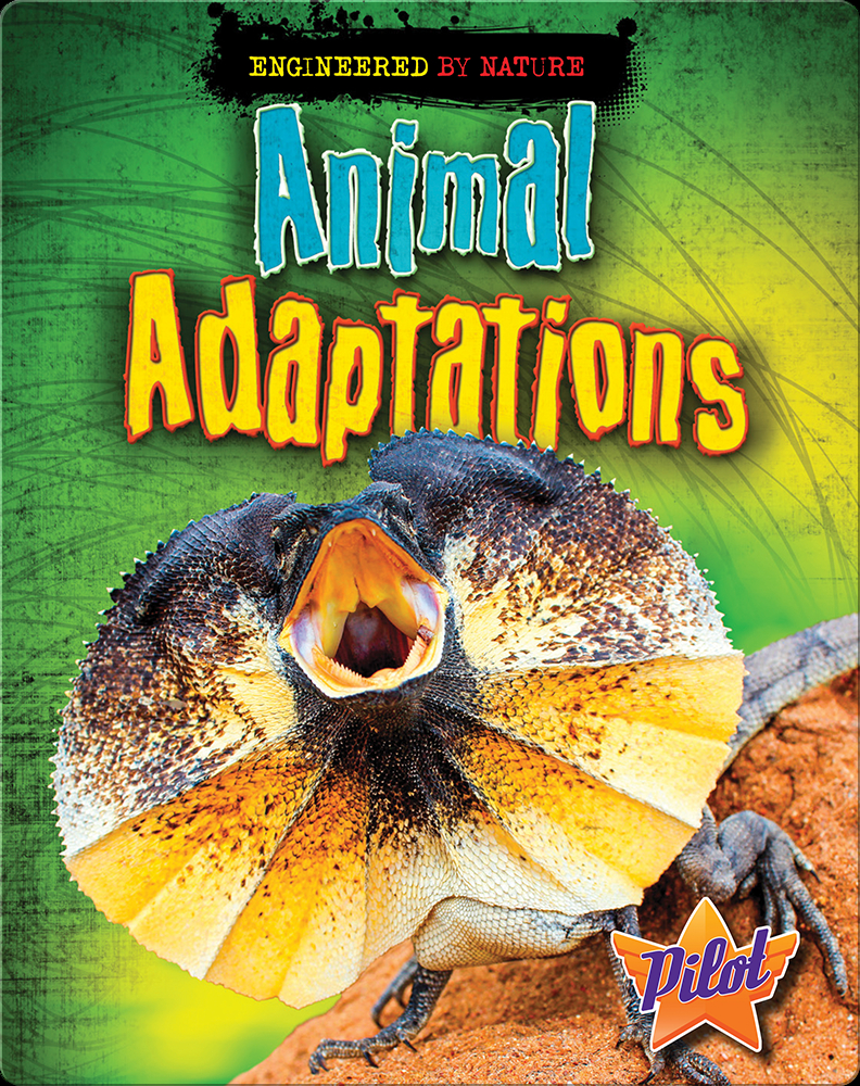 Animal Adaptations Book by Louise Spilsbury, Richard Spilsbury | Epic